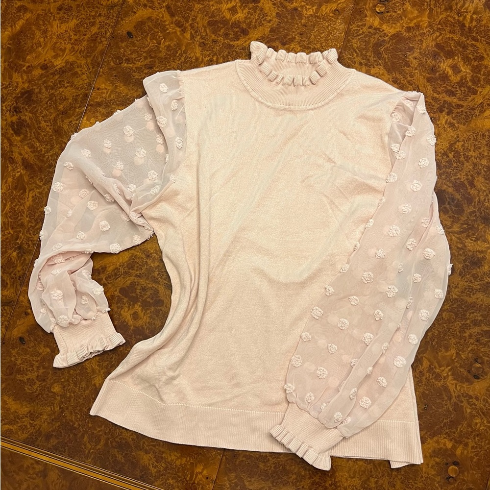 Adrianna Papell Soft Pink Blouse with Sheer Sleeves